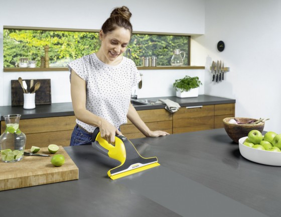 Оконный пылесос Karcher WV 6 PLUS